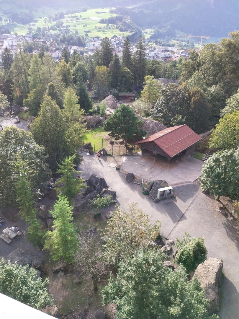 Rock & Forest tour - Observation tower - Alpine ibex enclosure