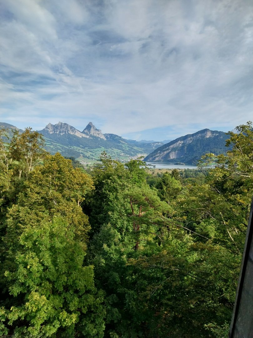 Rock & Forest tour - Observation tower