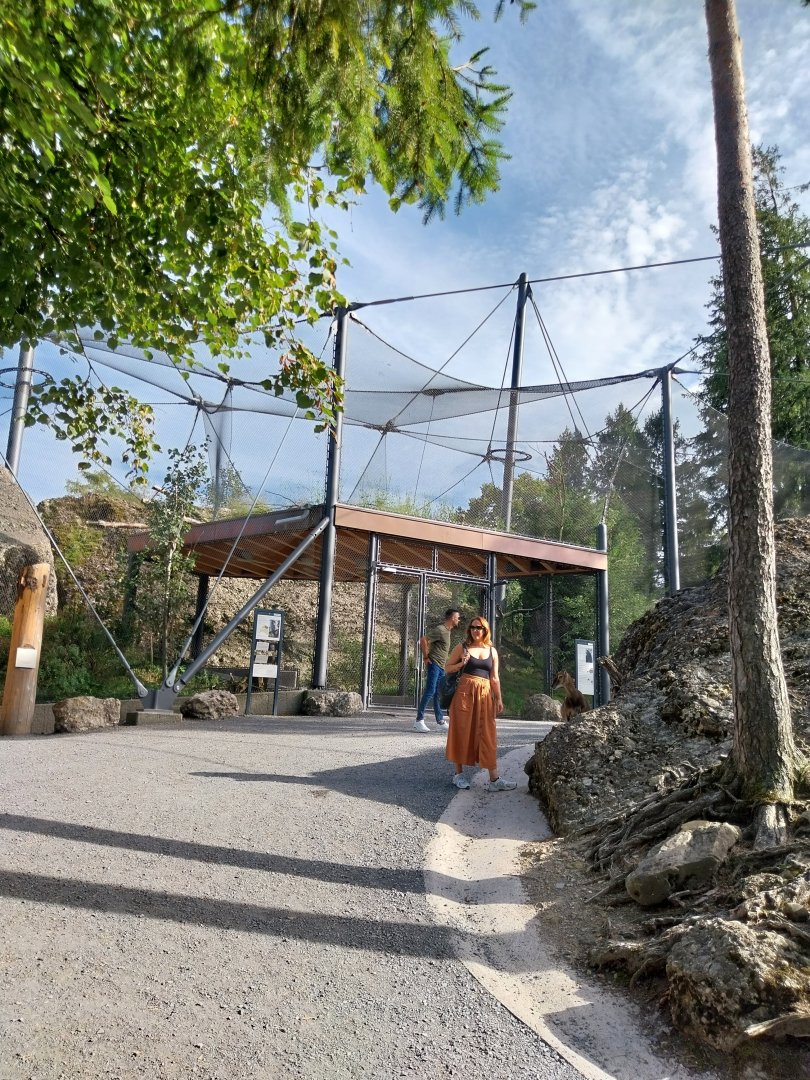 Rock & Forest tour - Owl & raven complex