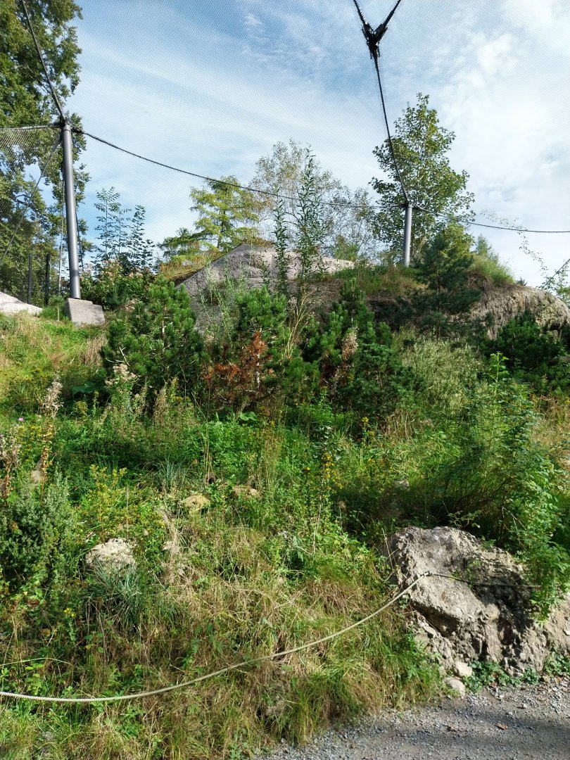 Rock & Forest tour - Owl & raven complex