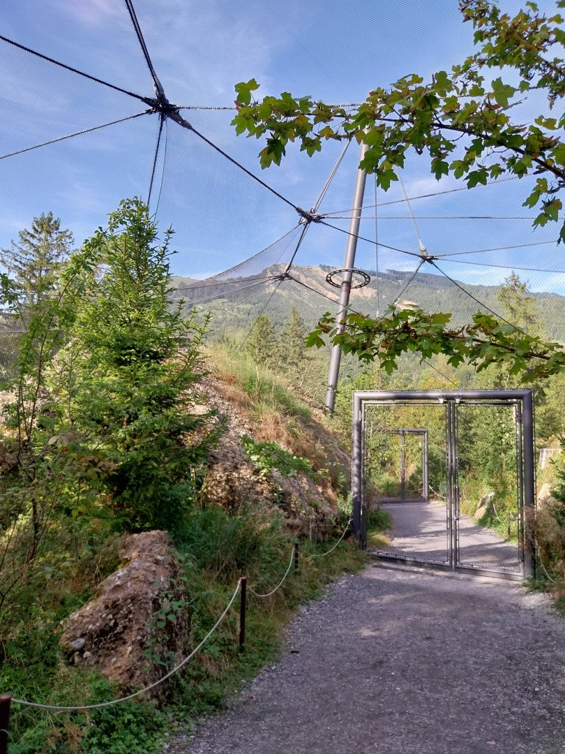 Rock & Forest tour - Owl & raven complex