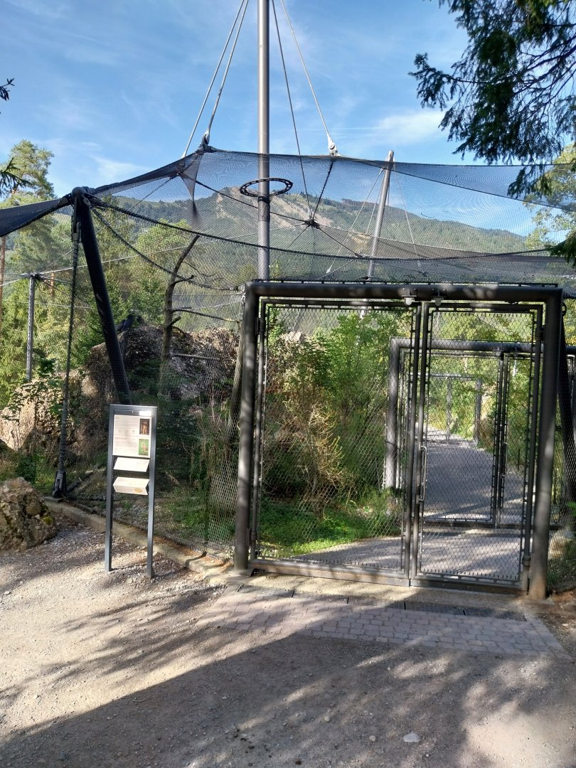 Rock & Forest tour - Owls and raven complex - Raven walk through