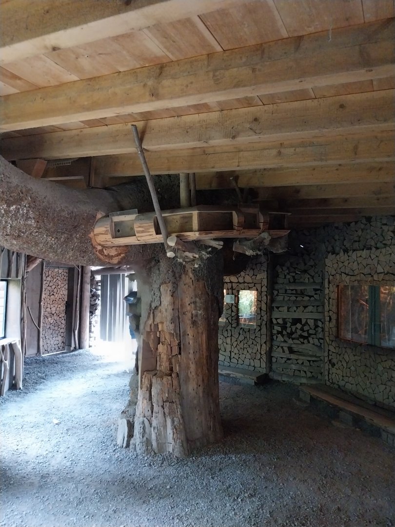 Rock & Forest tour - Pine marten house