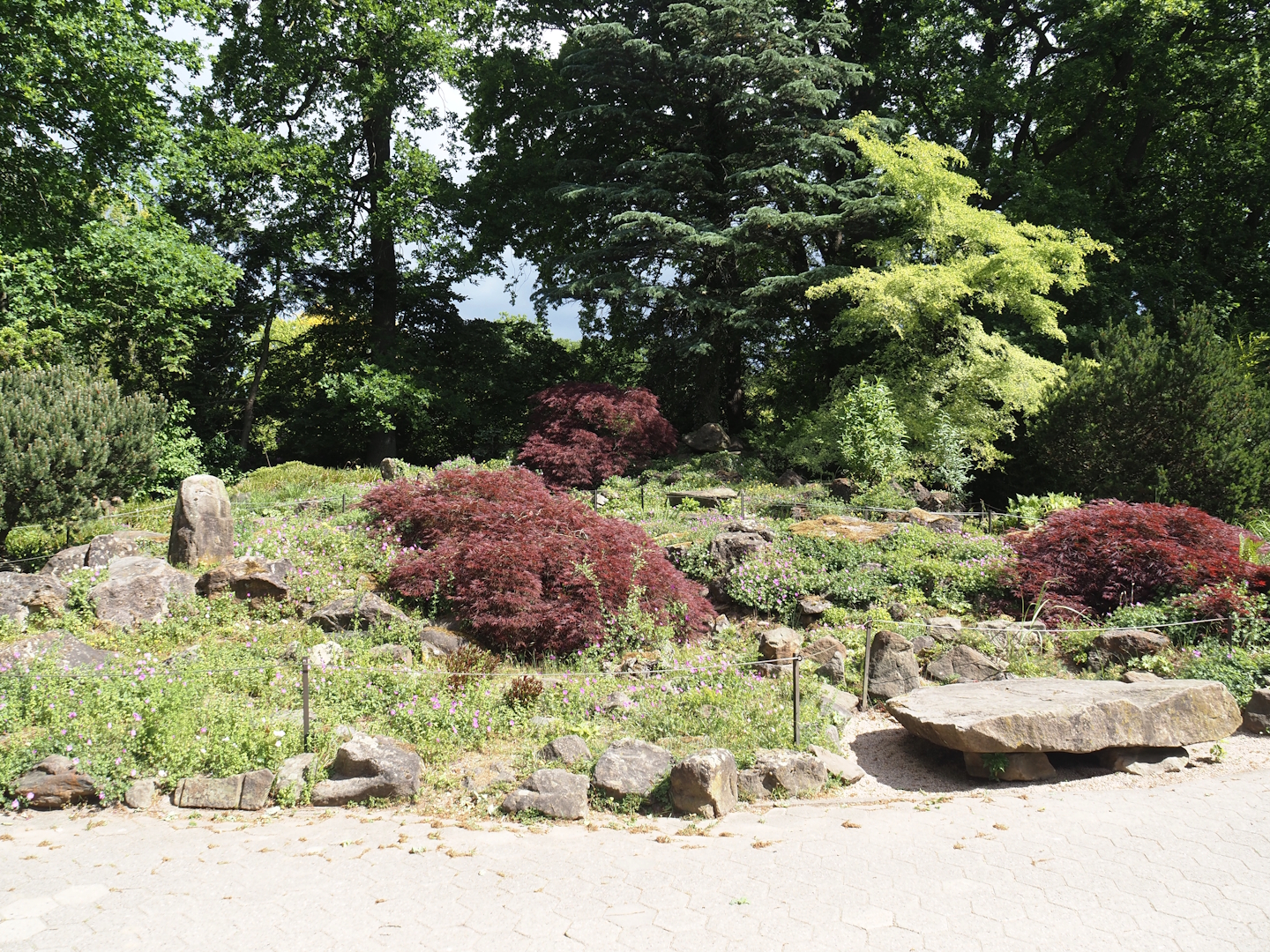 Rock garden, 2025-05-22