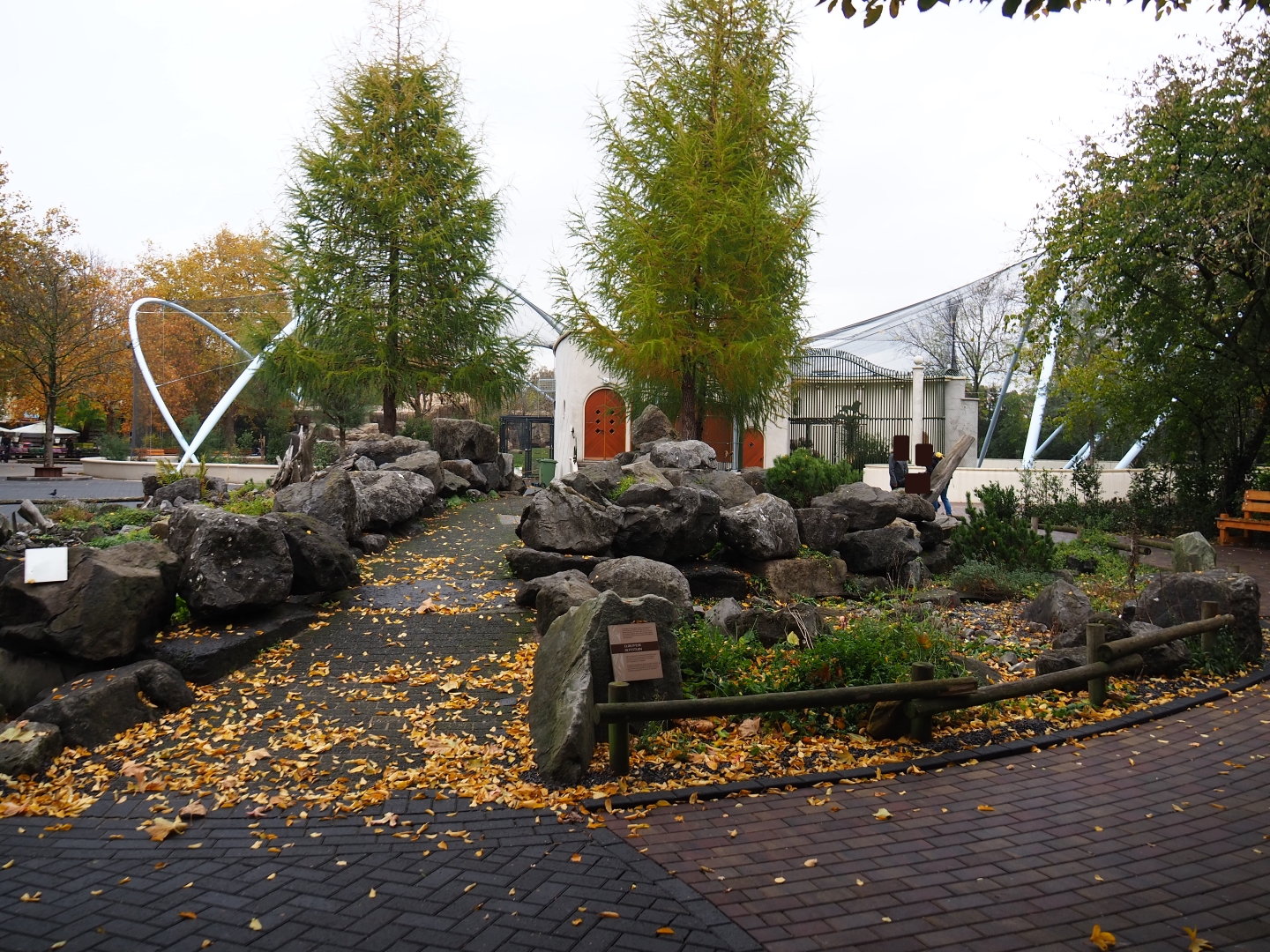 Rock garden - Former location of cat cages (Nov 10th, 2018)