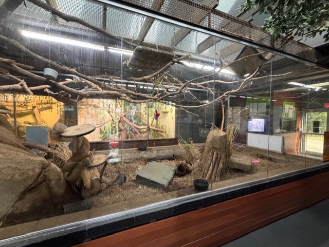 rock hyrax and meerkat exhibit