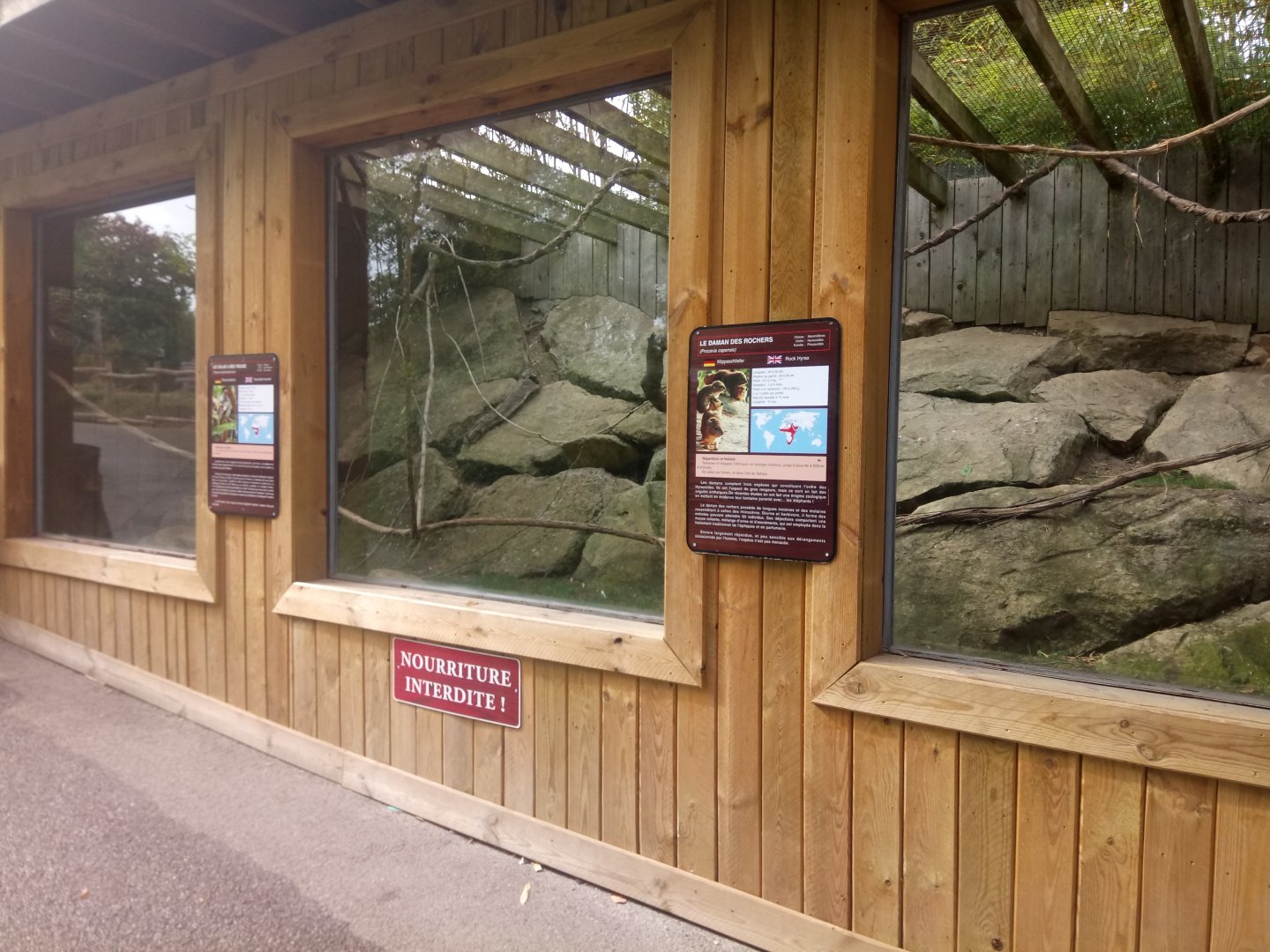 Rock Hyrax and Northern Red-billed Hornbill Outdoor Aviary