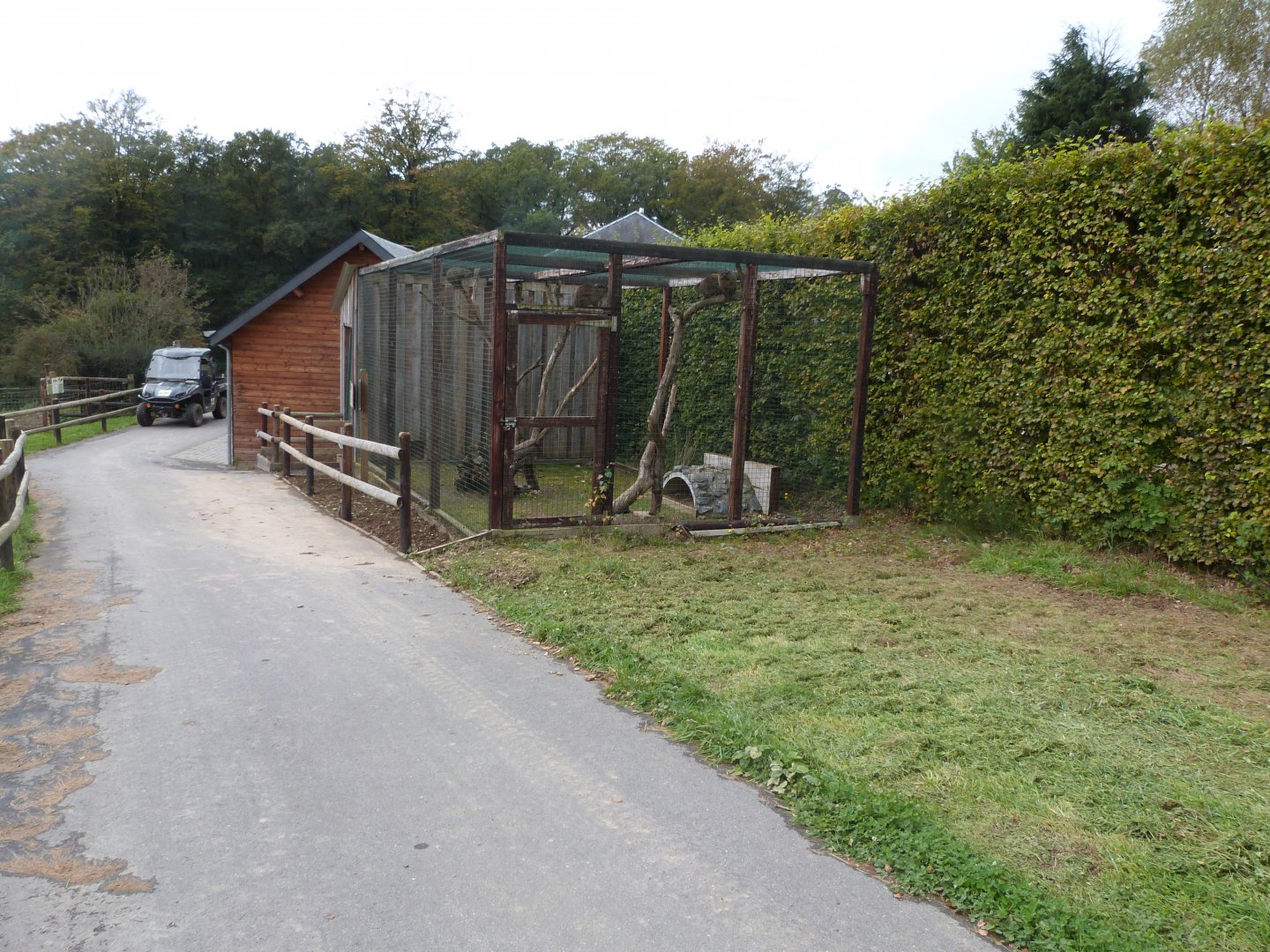 Rock hyrax aviary - Parc animalier de Bouillon