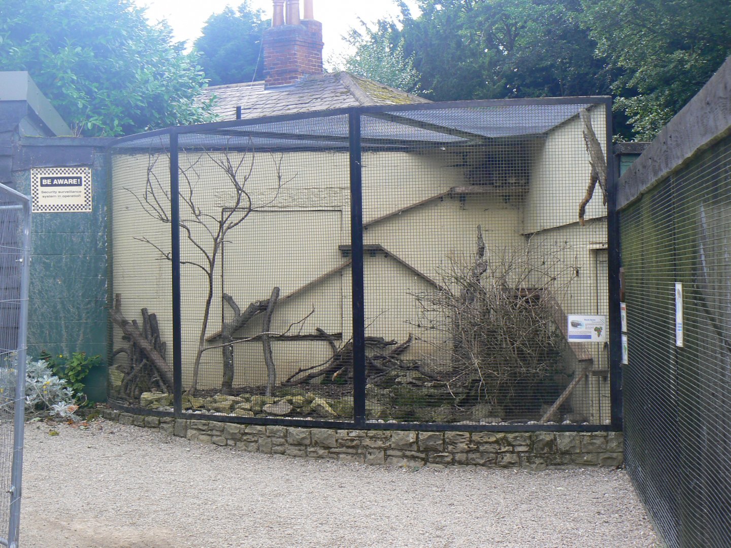 Rock Hyrax enclosure - 11 August 2019