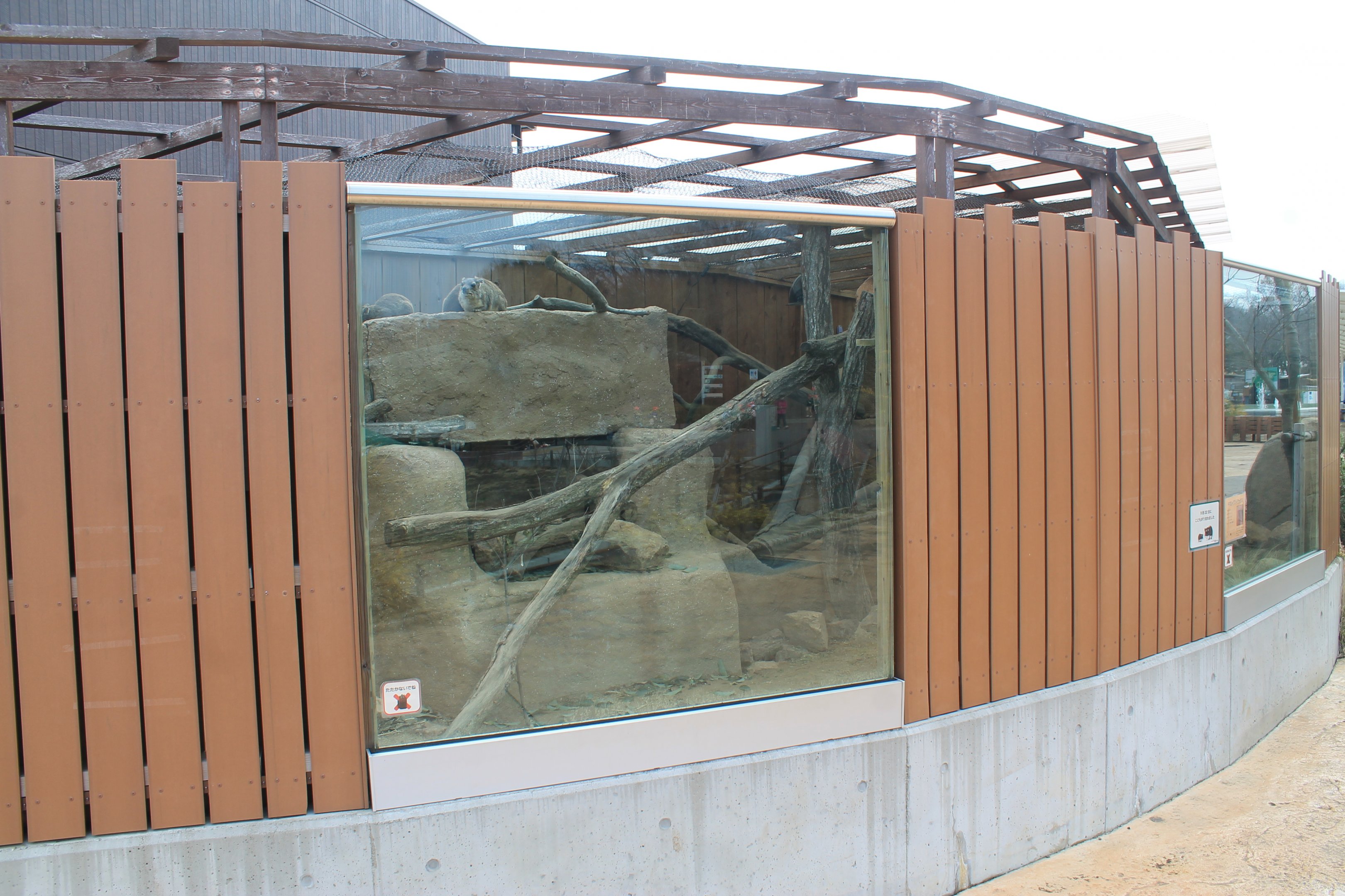 Rock Hyrax enclosure - Saitama Childrens Zoo