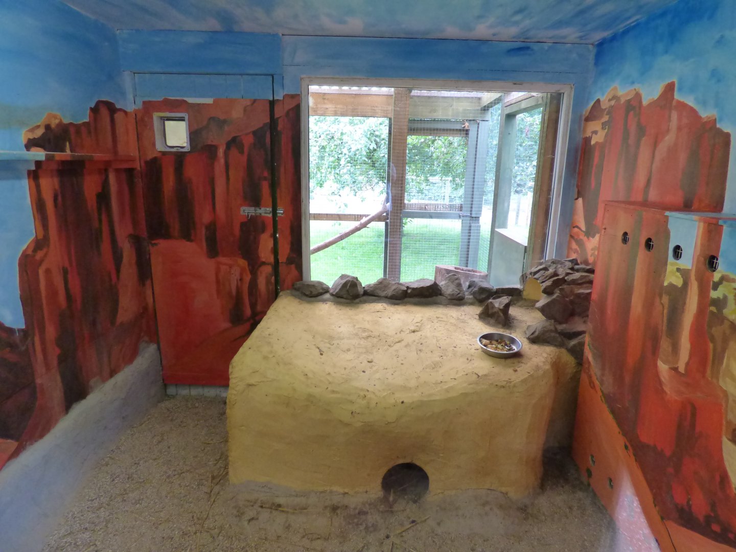 Rock Hyrax Enclosure