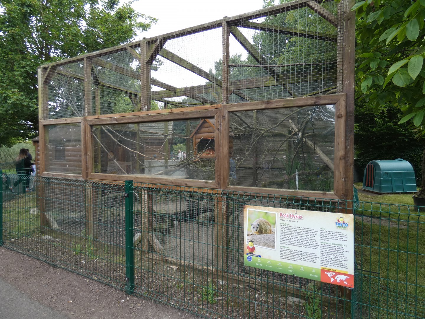 Rock hyrax enclosure