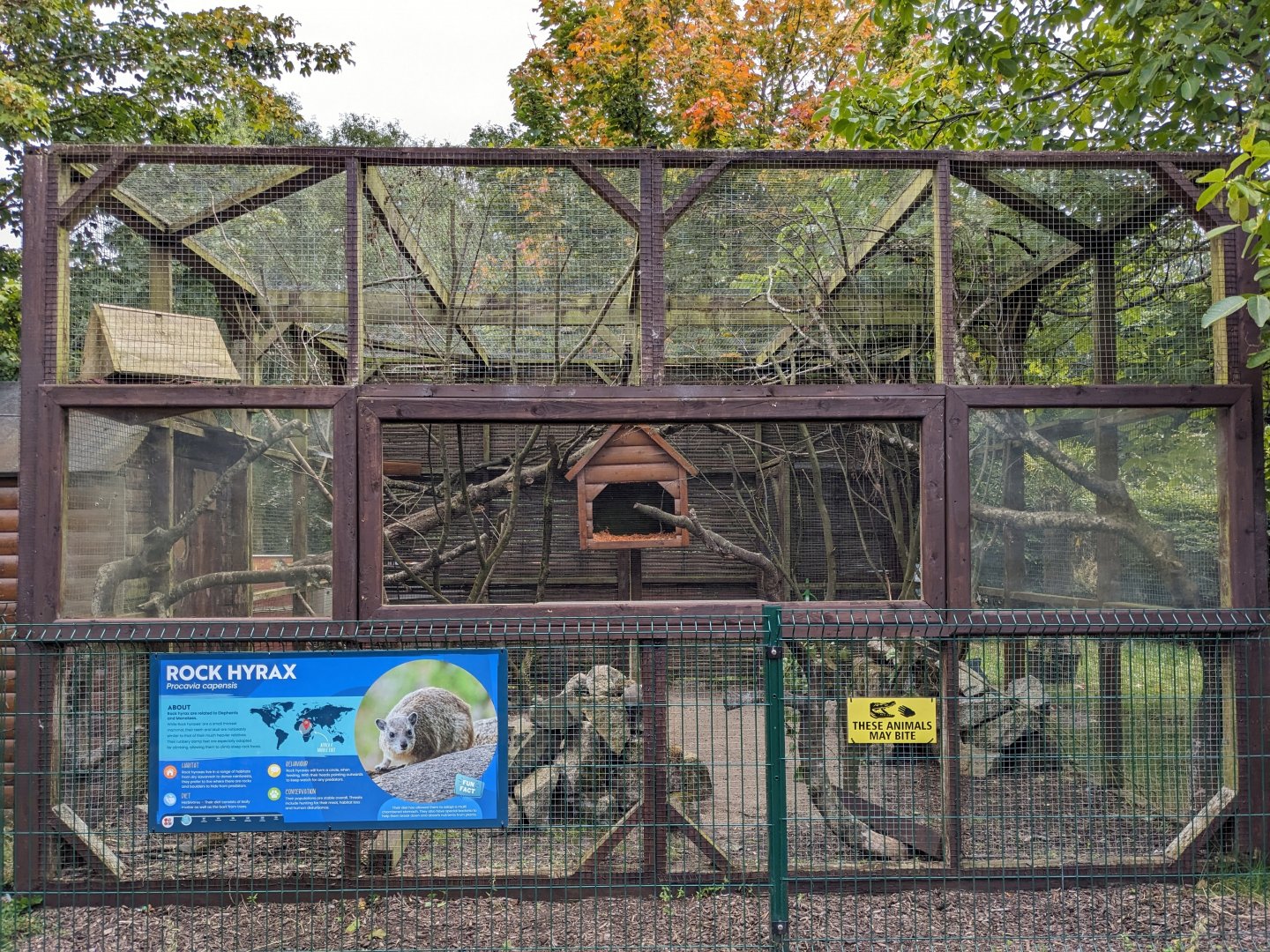 Rock Hyrax Enclosure