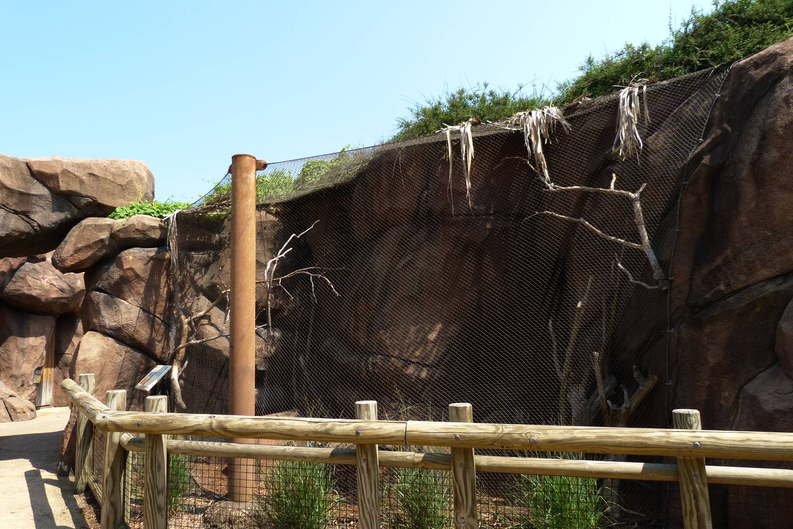 Rock Hyrax Exhibit - O. Delta (7-17-12)