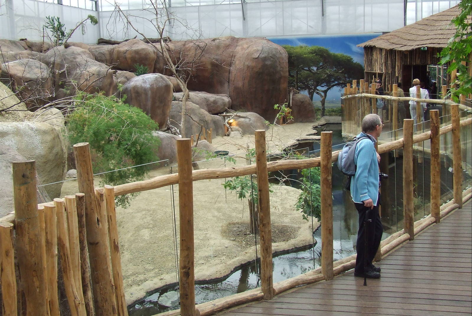 Rock Hyrax exhibit photos, Crocodile River