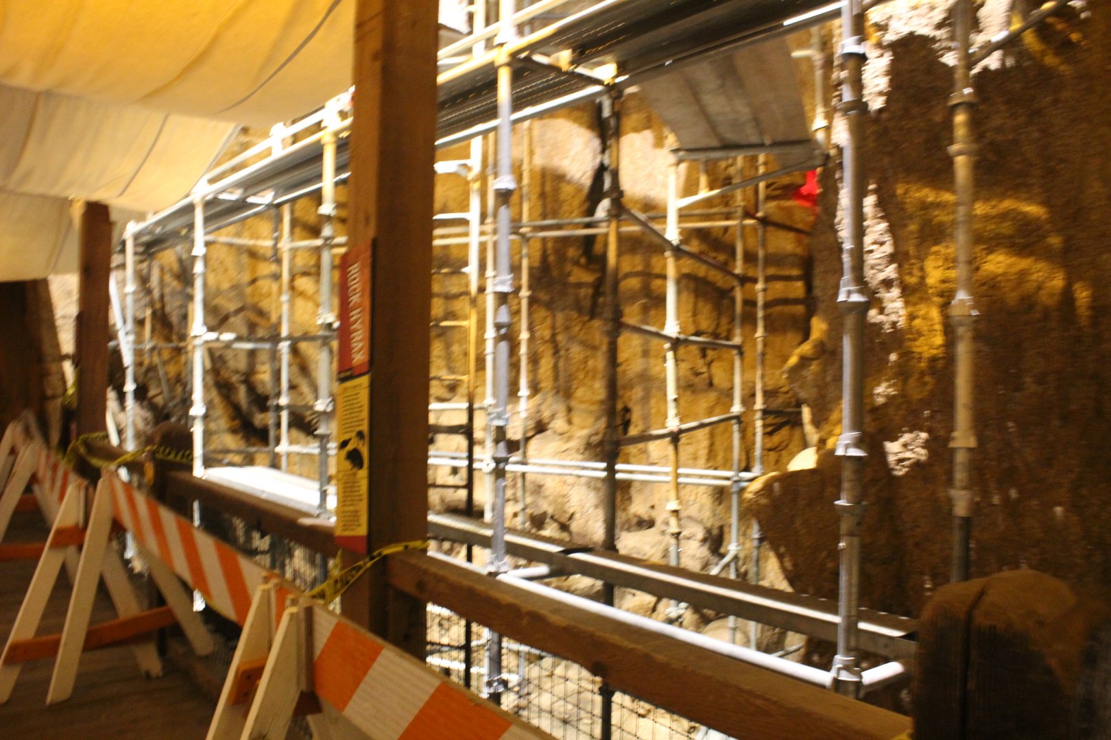 Rock Hyrax Exhibit Renovations