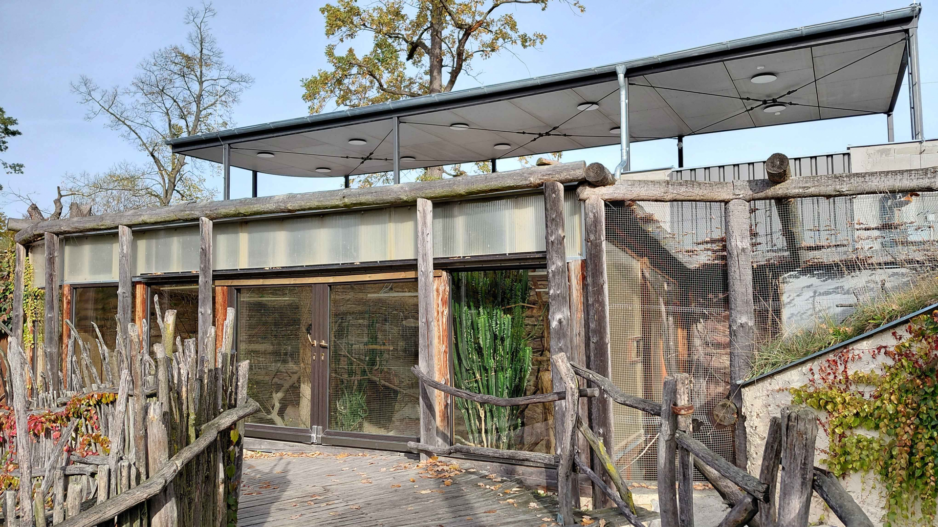 Rock hyrax + lovebird exhibit