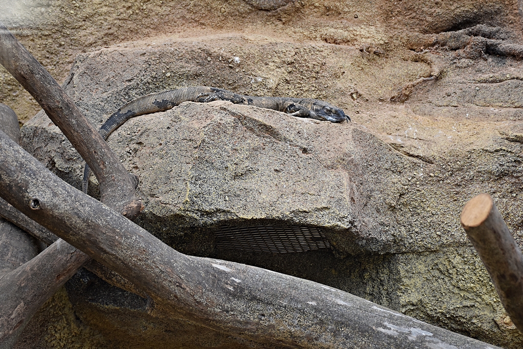 Rock monitor