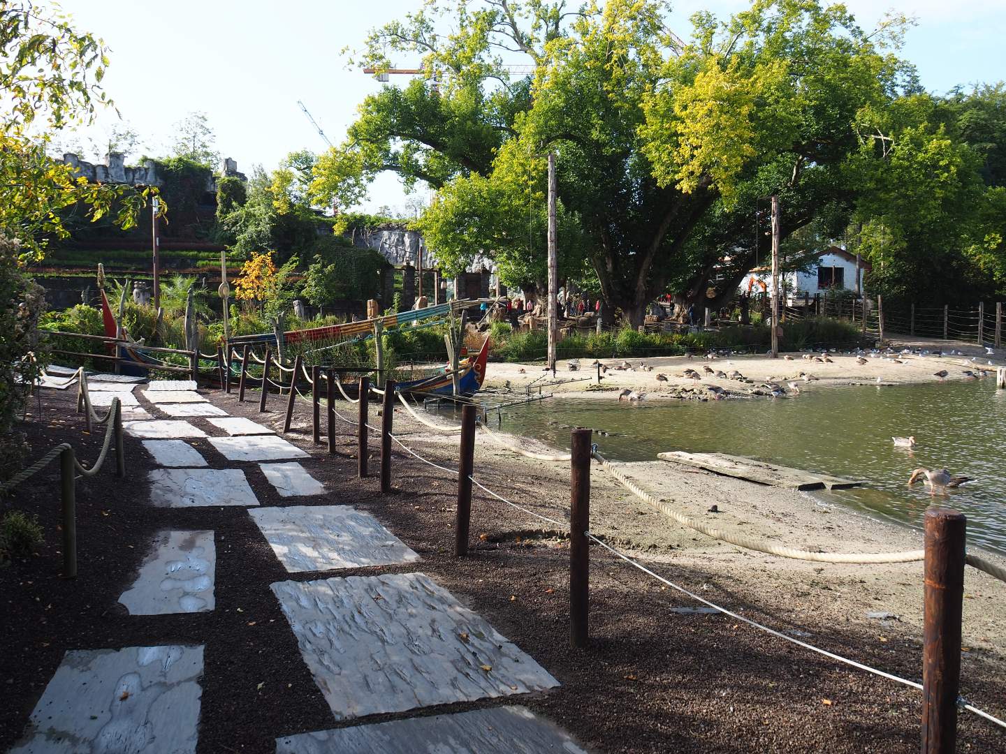 Rock pathway and waterfowl beach, 2019-10-04