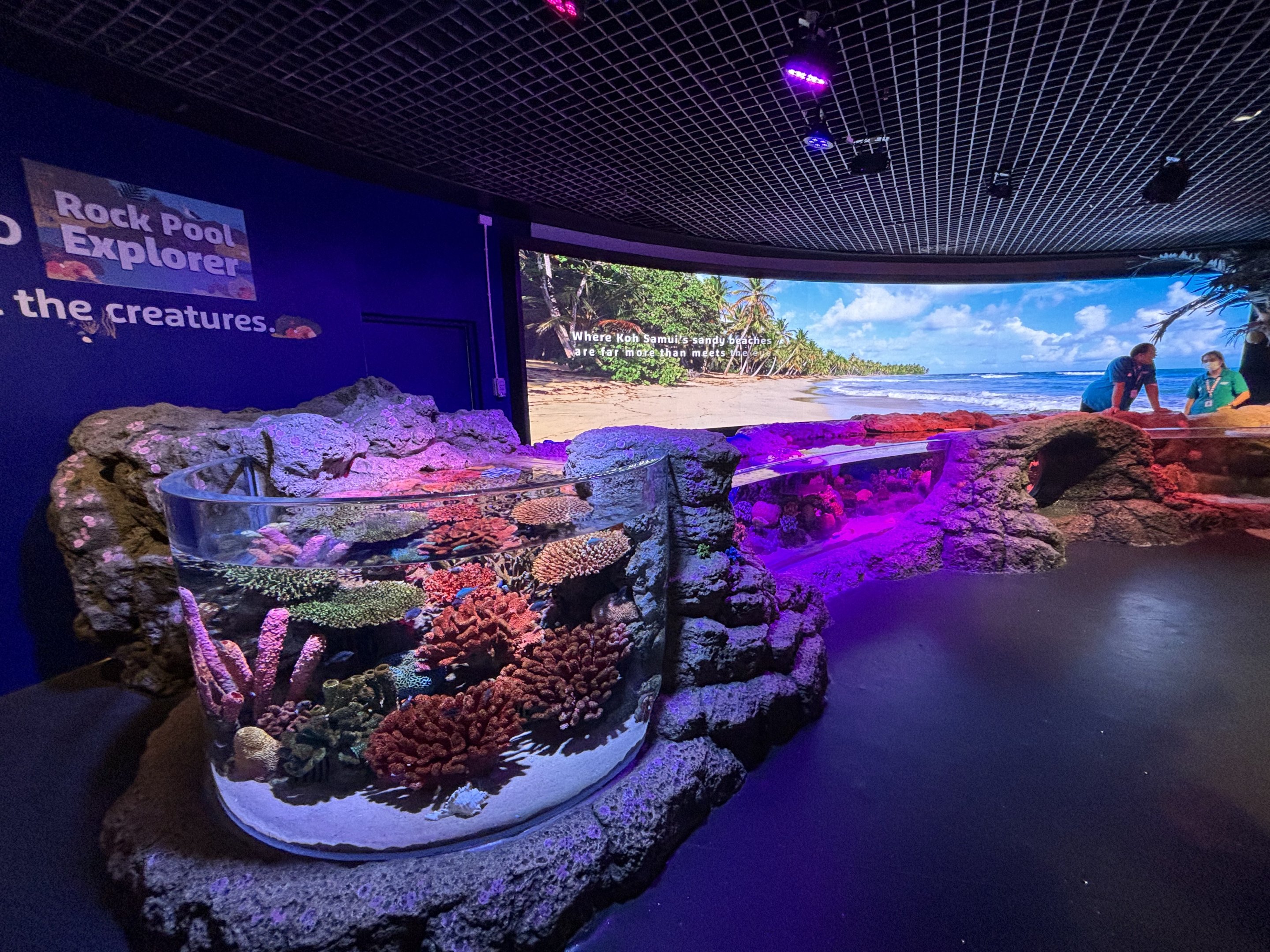 Rock Pool Explorer Touch Tank