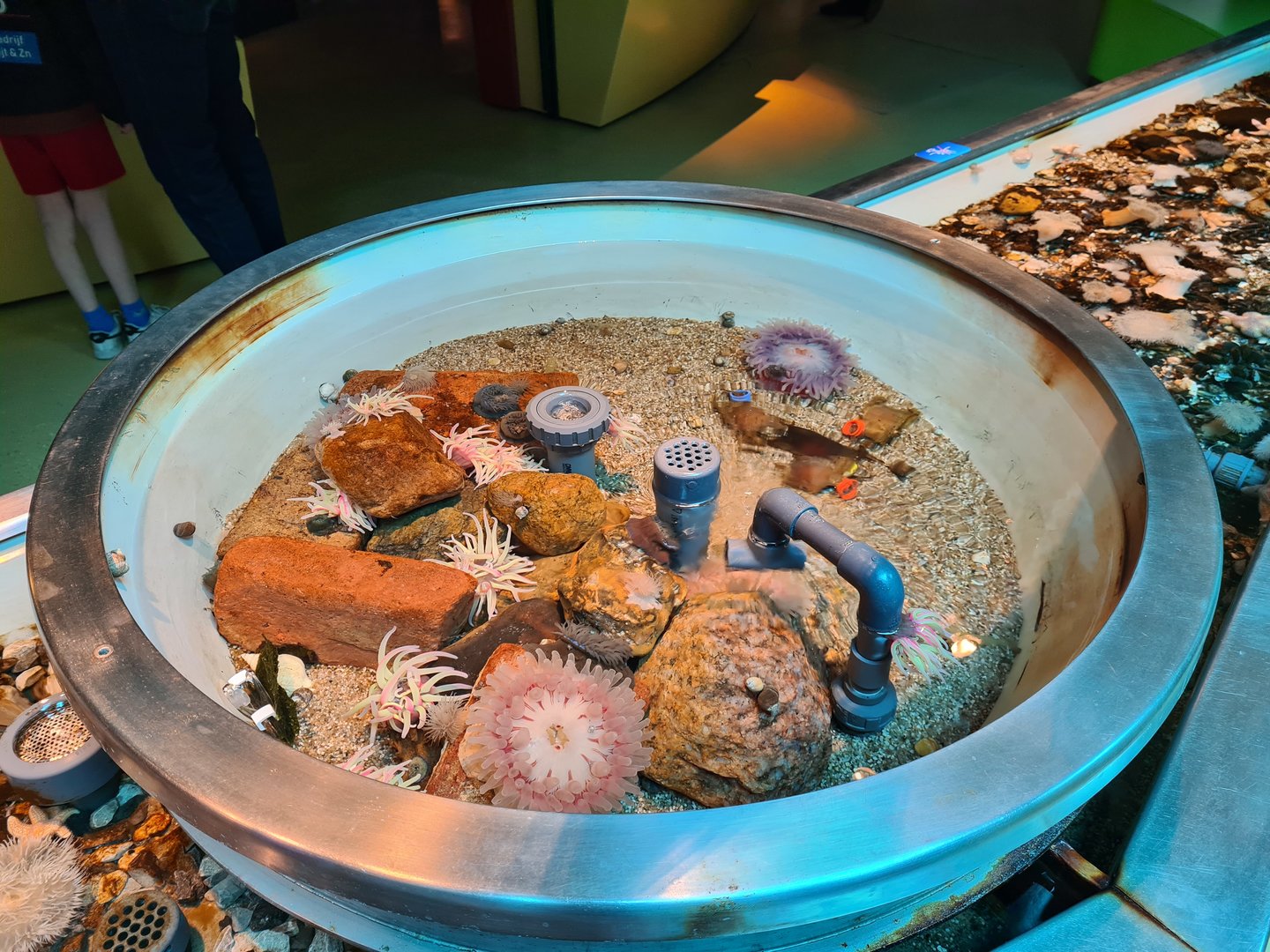 Rock pool - Middle pool