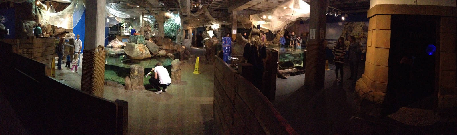 Rock Pool Panorama at Blue Planet Aquarium - 05/10/2013