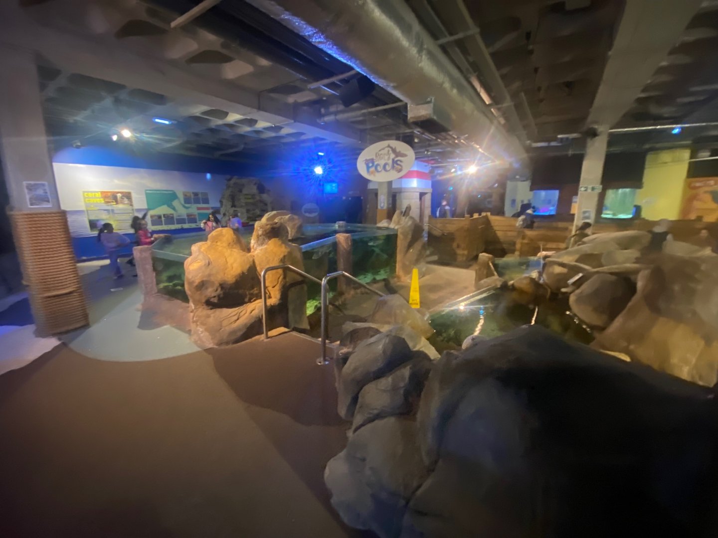 Rock Pools area 251123