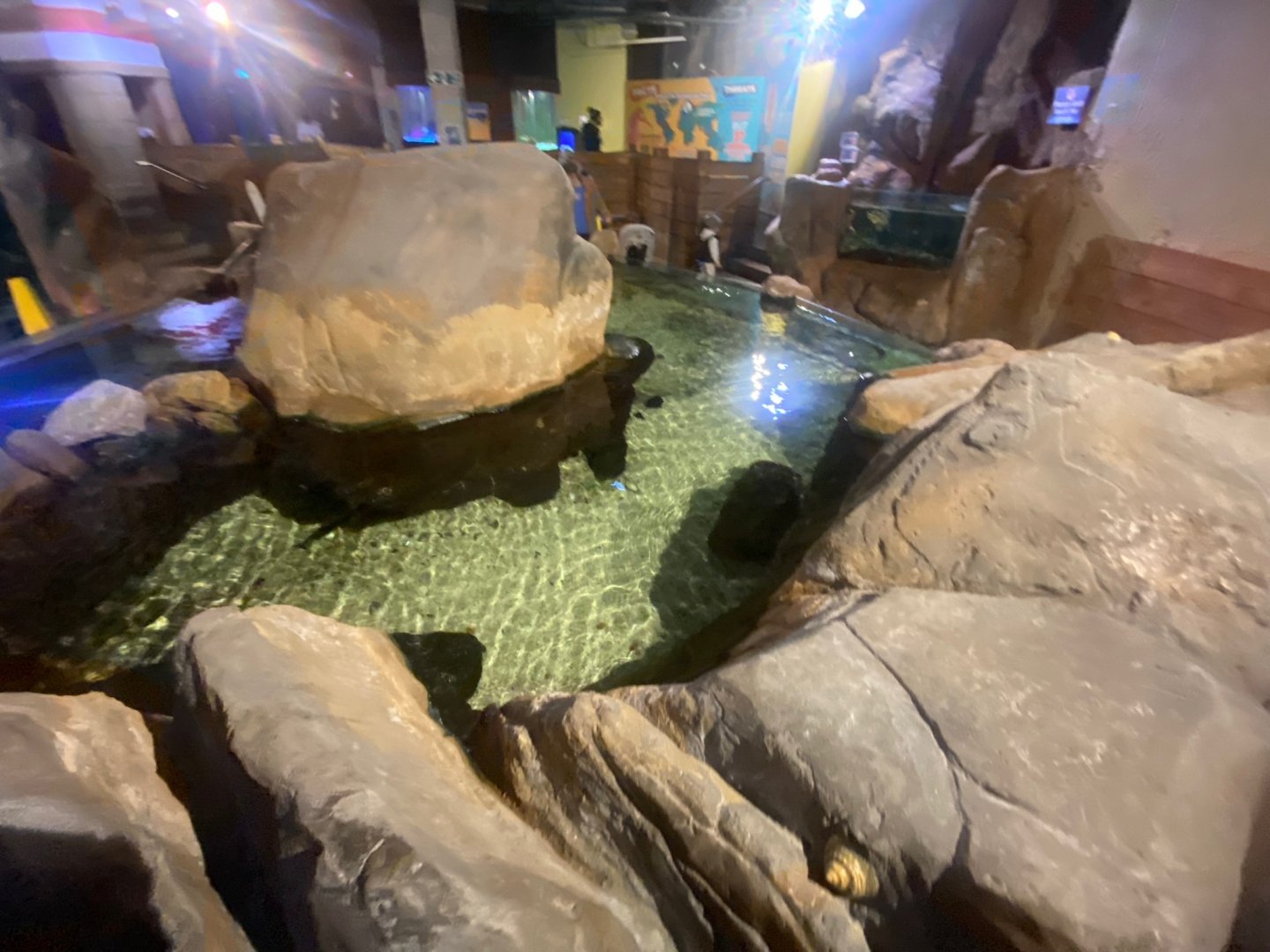 Rock Pools area 251123