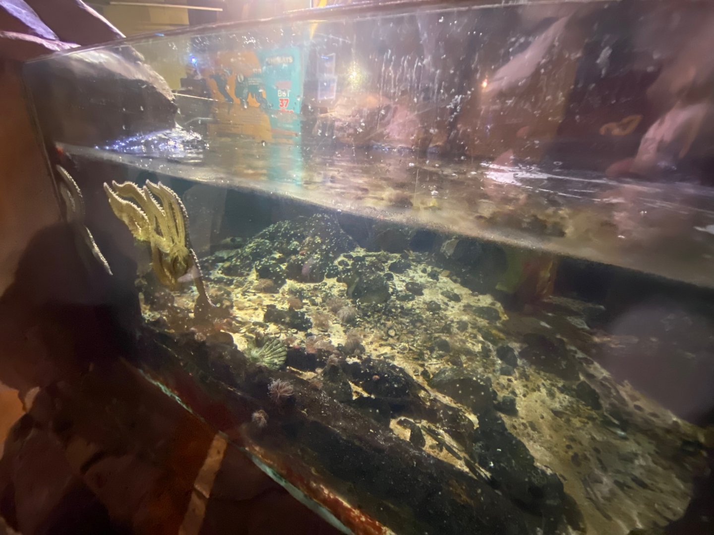 Rock Pools area 251123