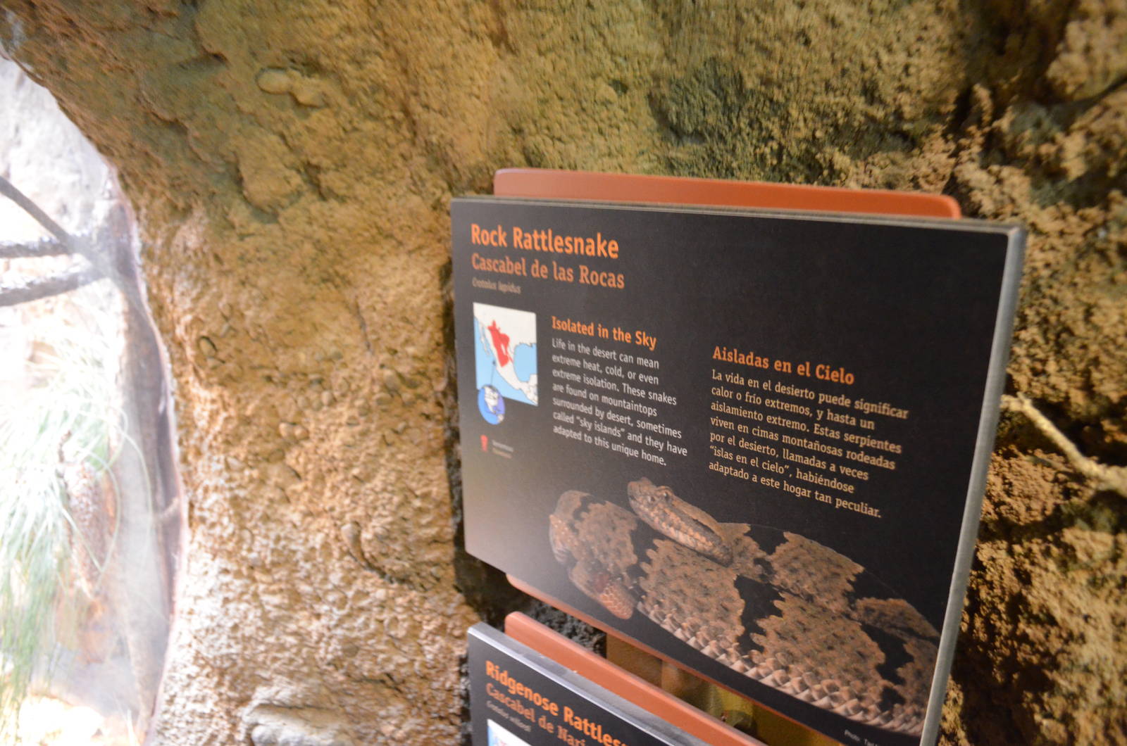 ROCK/RIDGE-NOSED RATTLESNAKE SIGNAGE
