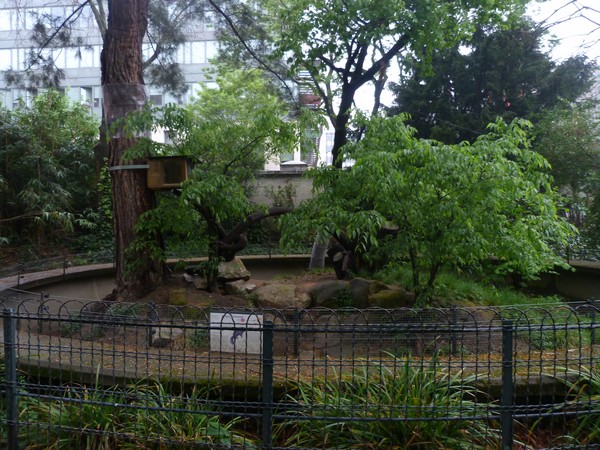 Rock squirrel enclosure