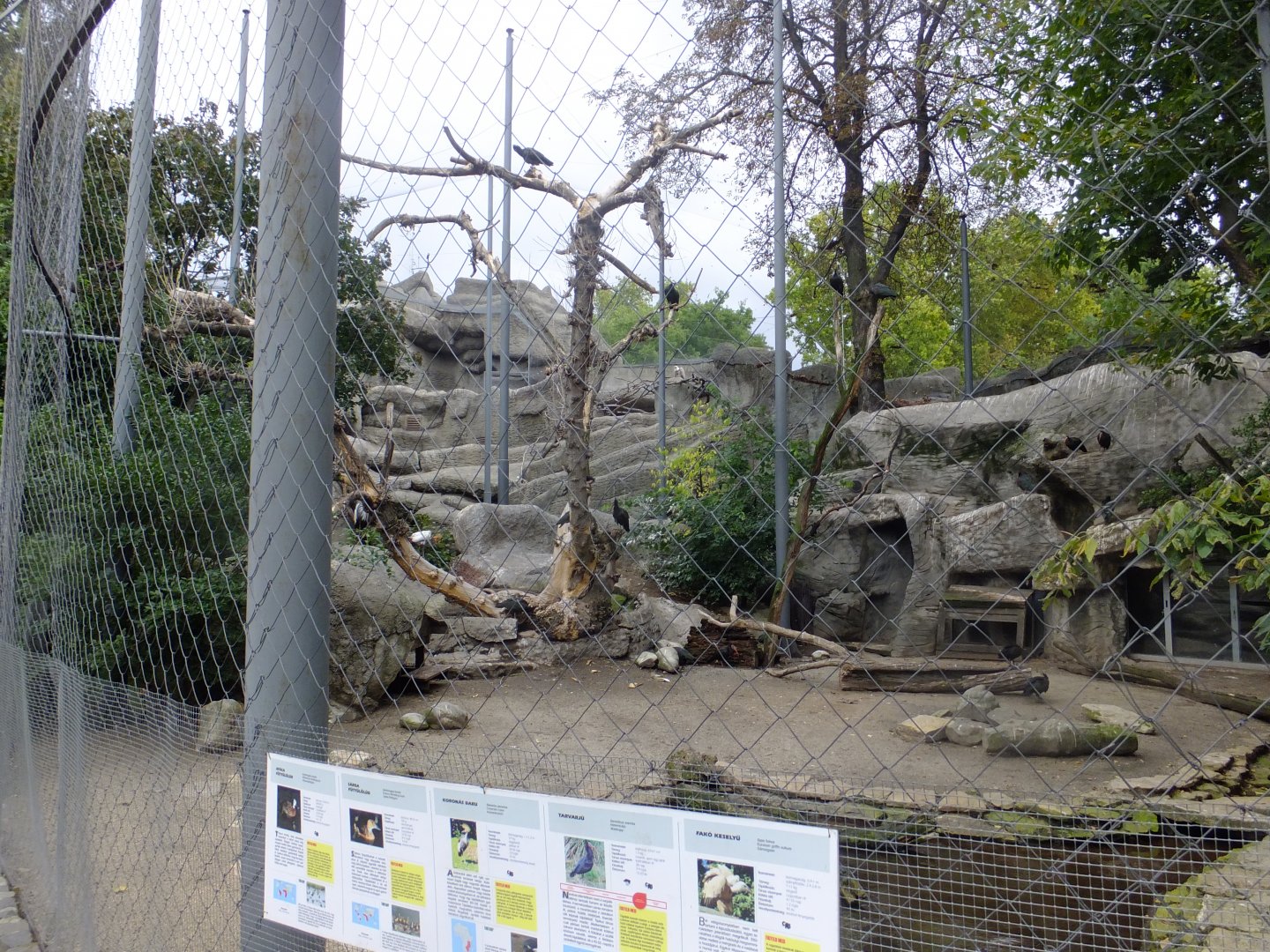 Rock walkthru aviary (Indian porcupine, Griffon vulture, Bateleur, Waldrapp, Grey crowned crane, Whistling ducks)