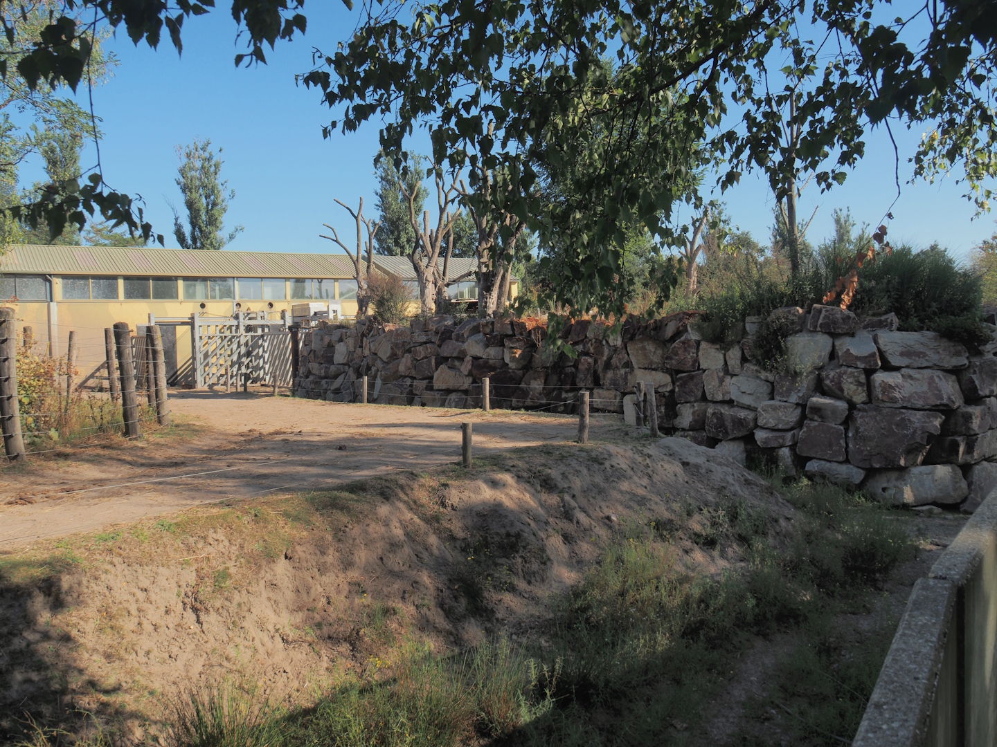 Rock wall separating Asian elephant paddocks, 2025-08-24