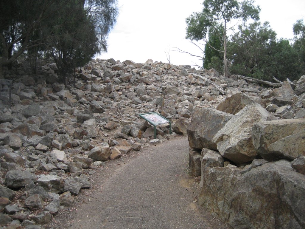 Rock Wallaby and Wallaroo enclosure