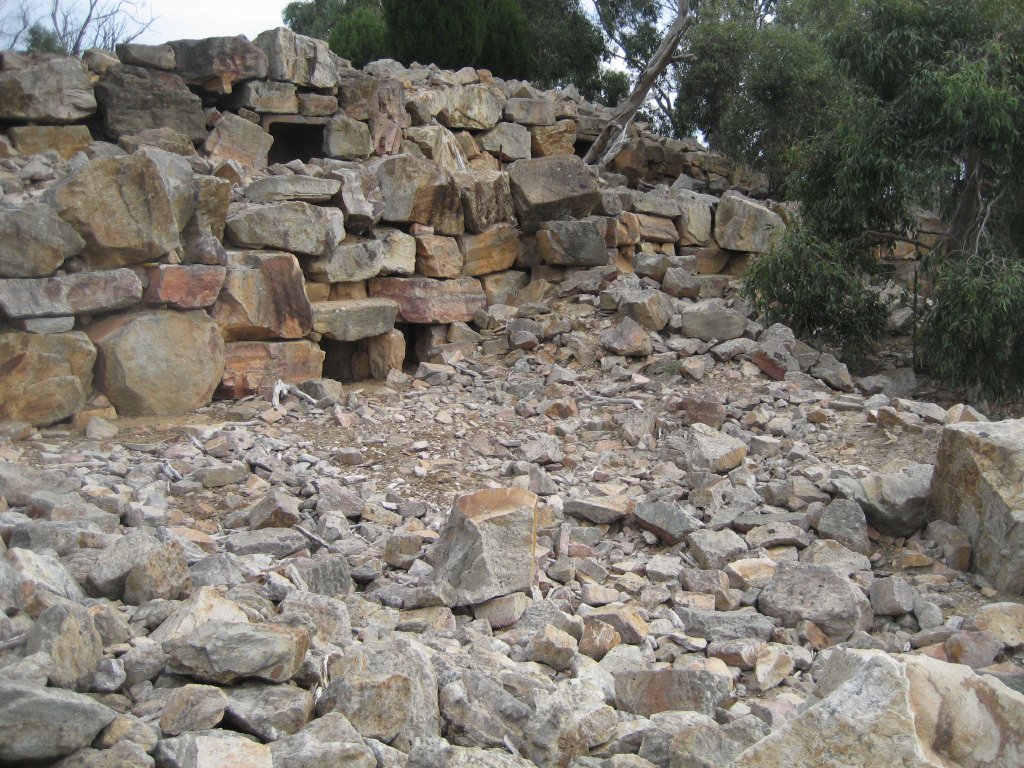 Rock Wallaby and Wallaroo enclosure