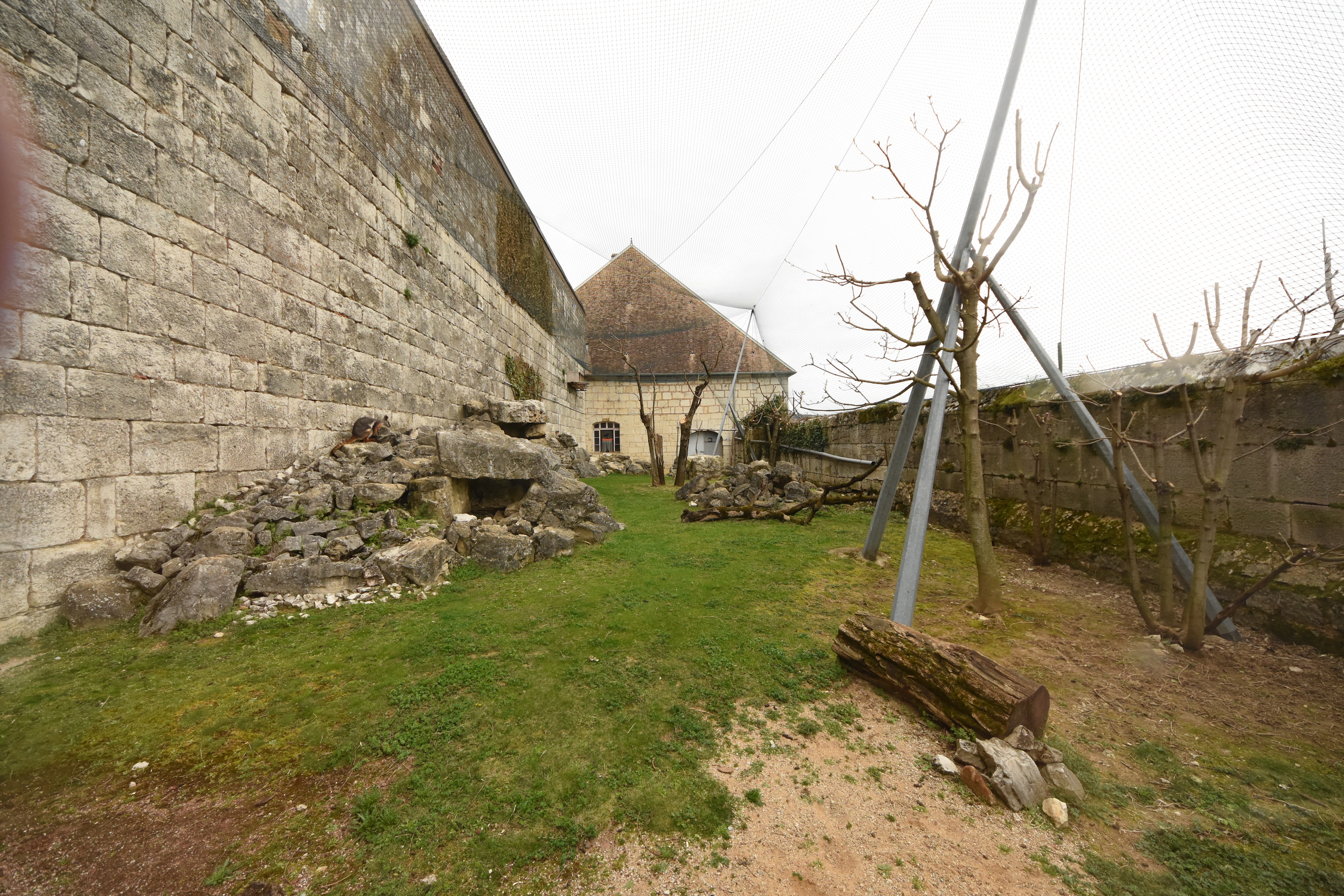 Rock wallaby enclosure
