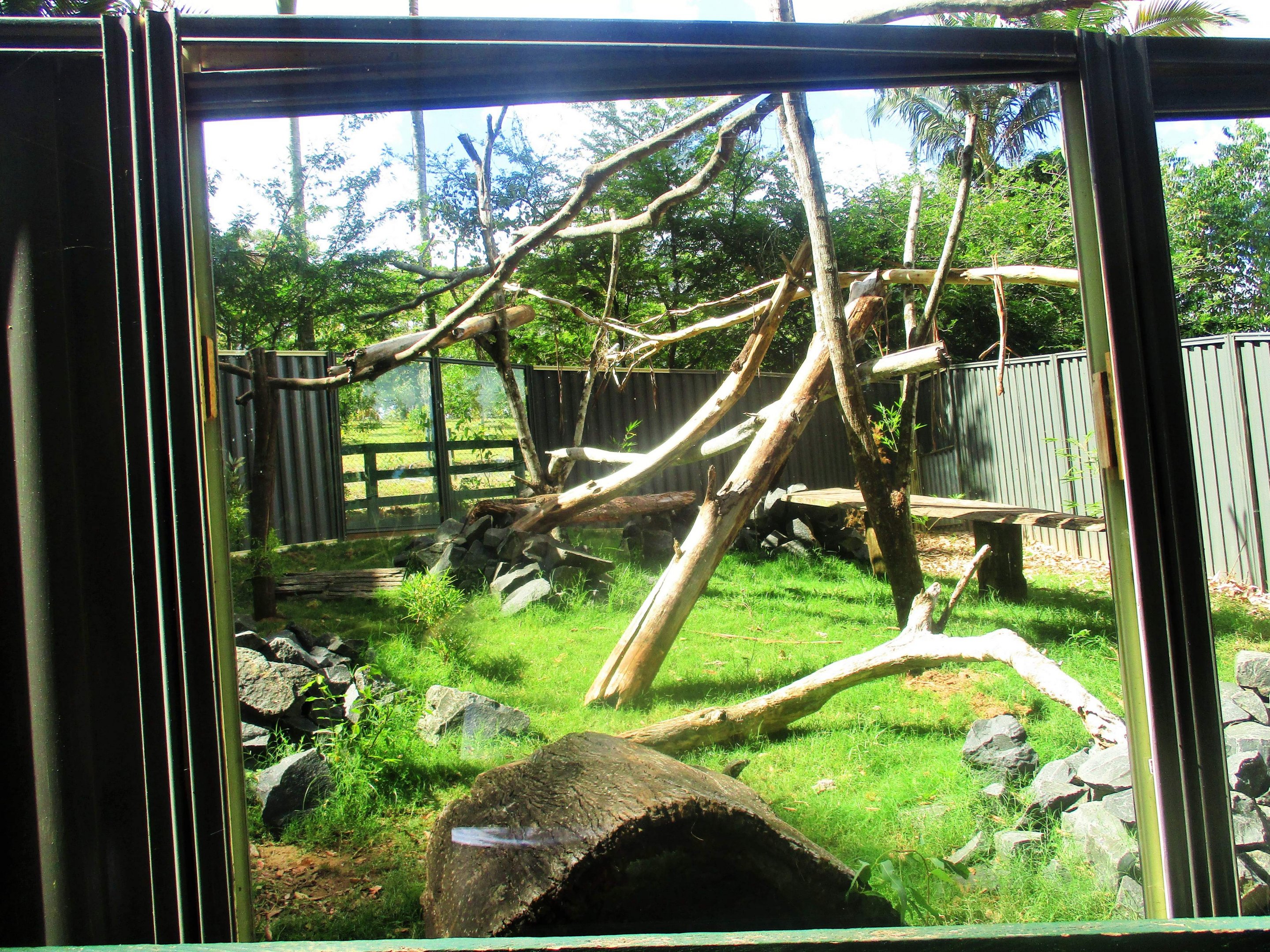 Rock Wallaby Enclosure