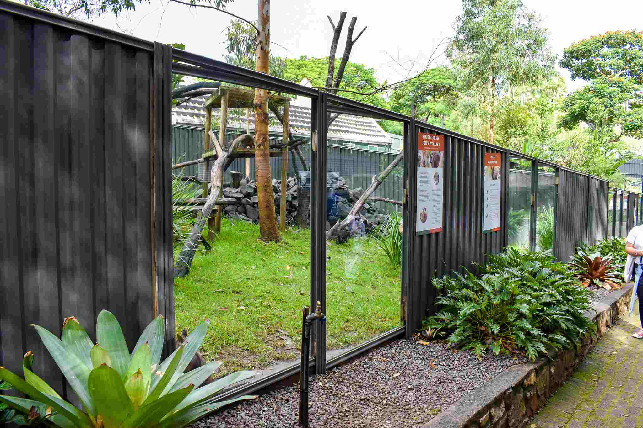 Rock Wallaby Enclosure