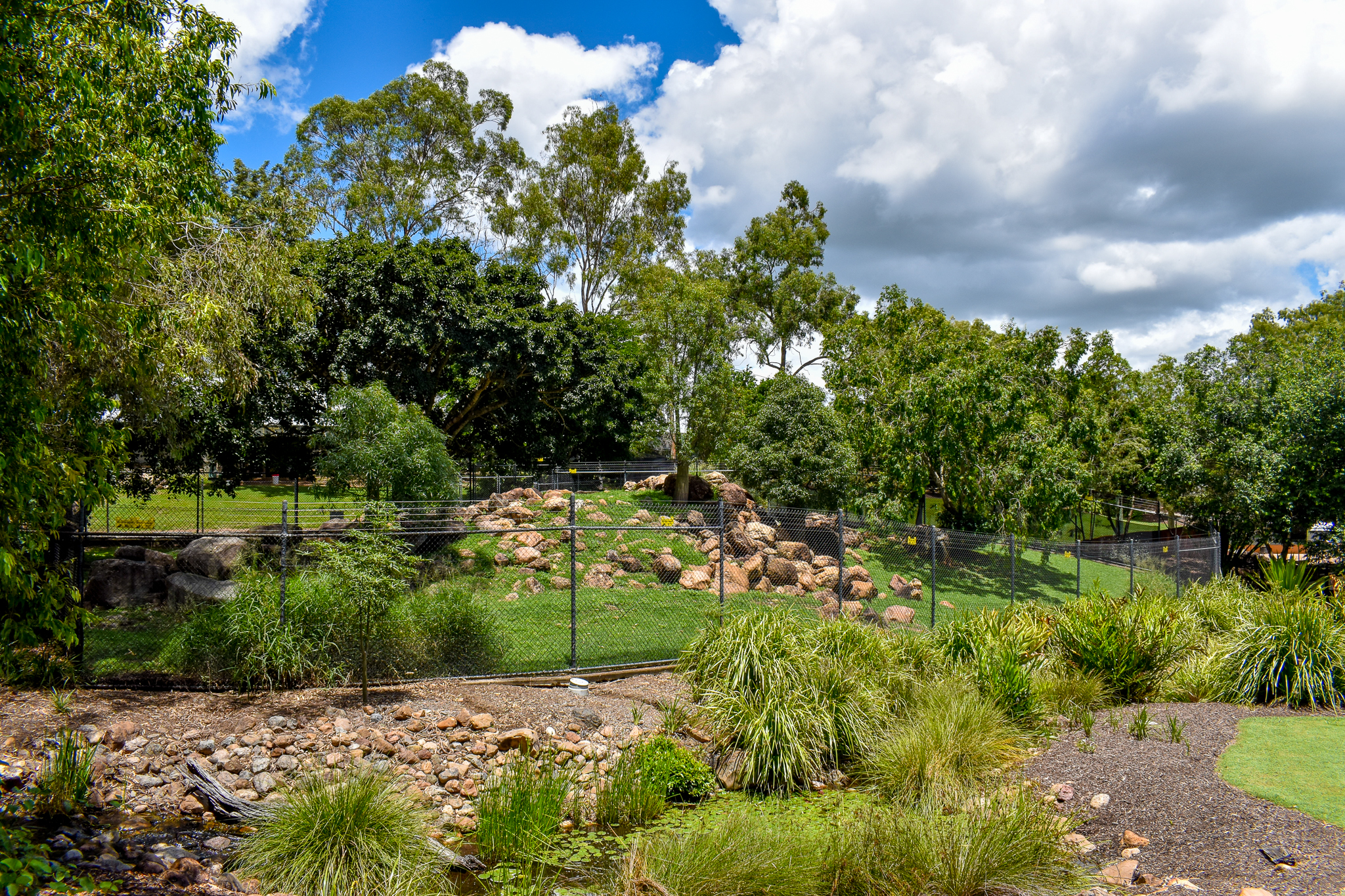 Rock Wallaby Enclosure