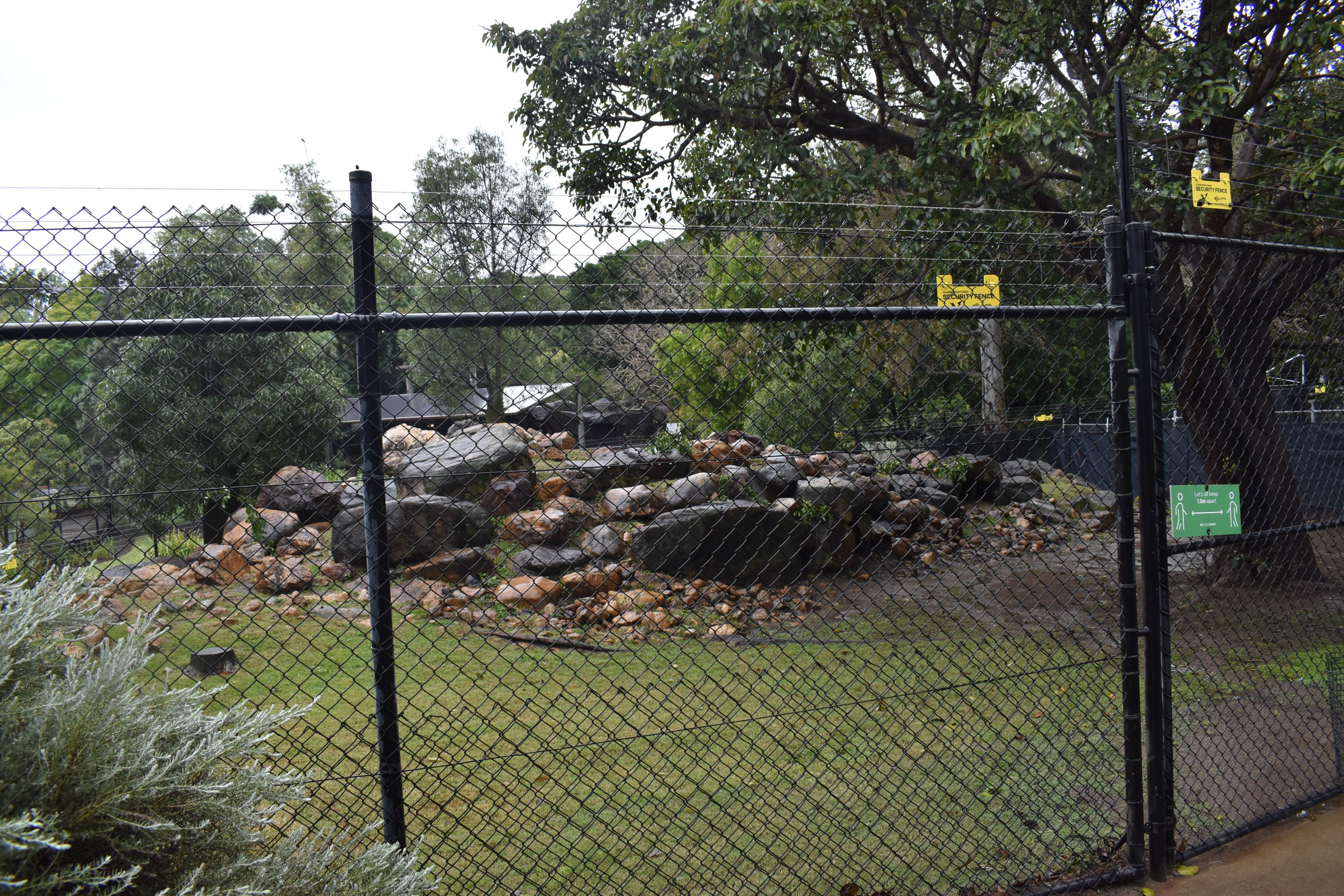 Rock-Wallaby Enclosure