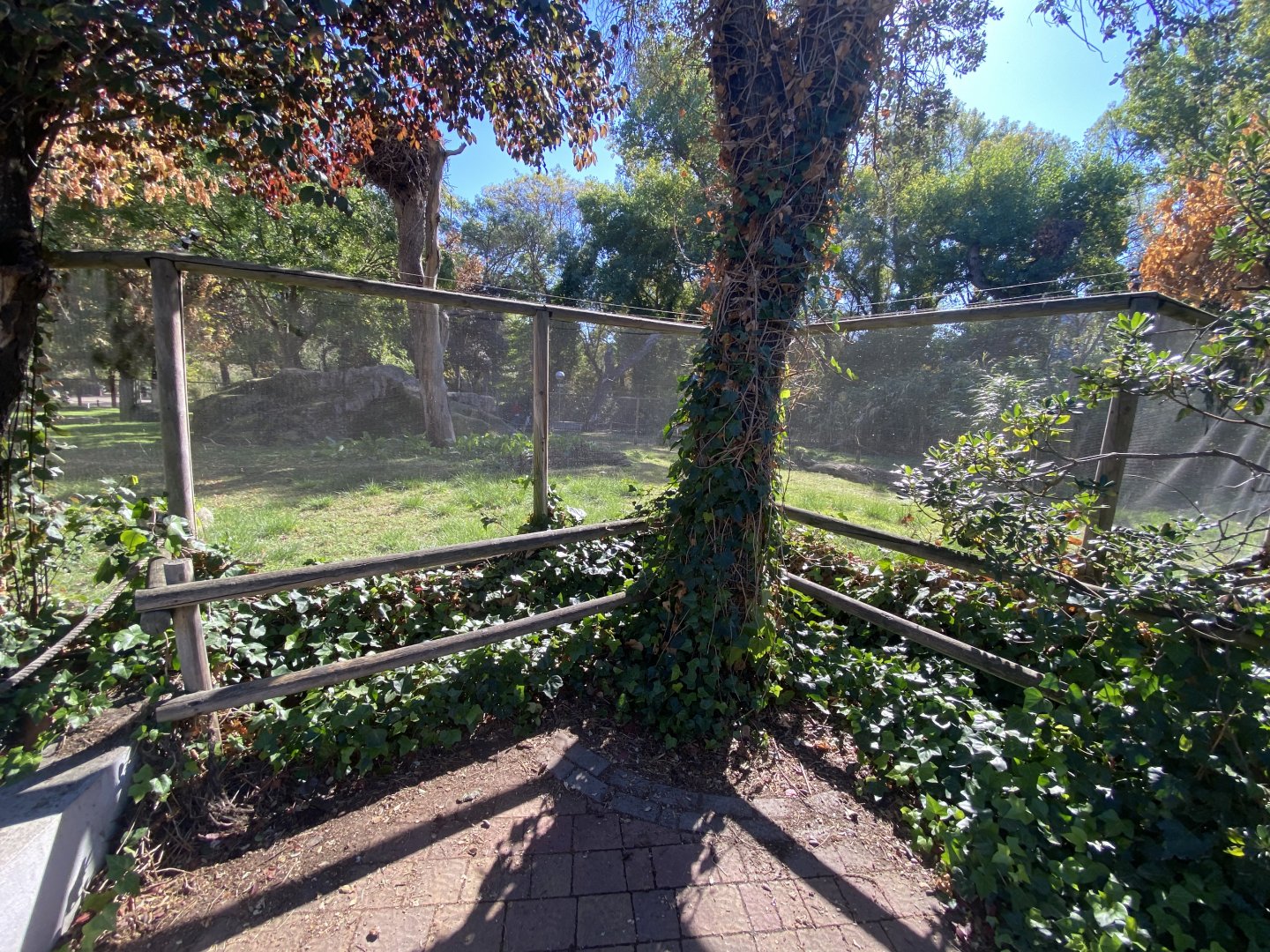 Rock wallaby enclosure