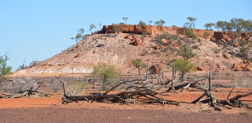 Rock wallaby & wallaroo habitat.