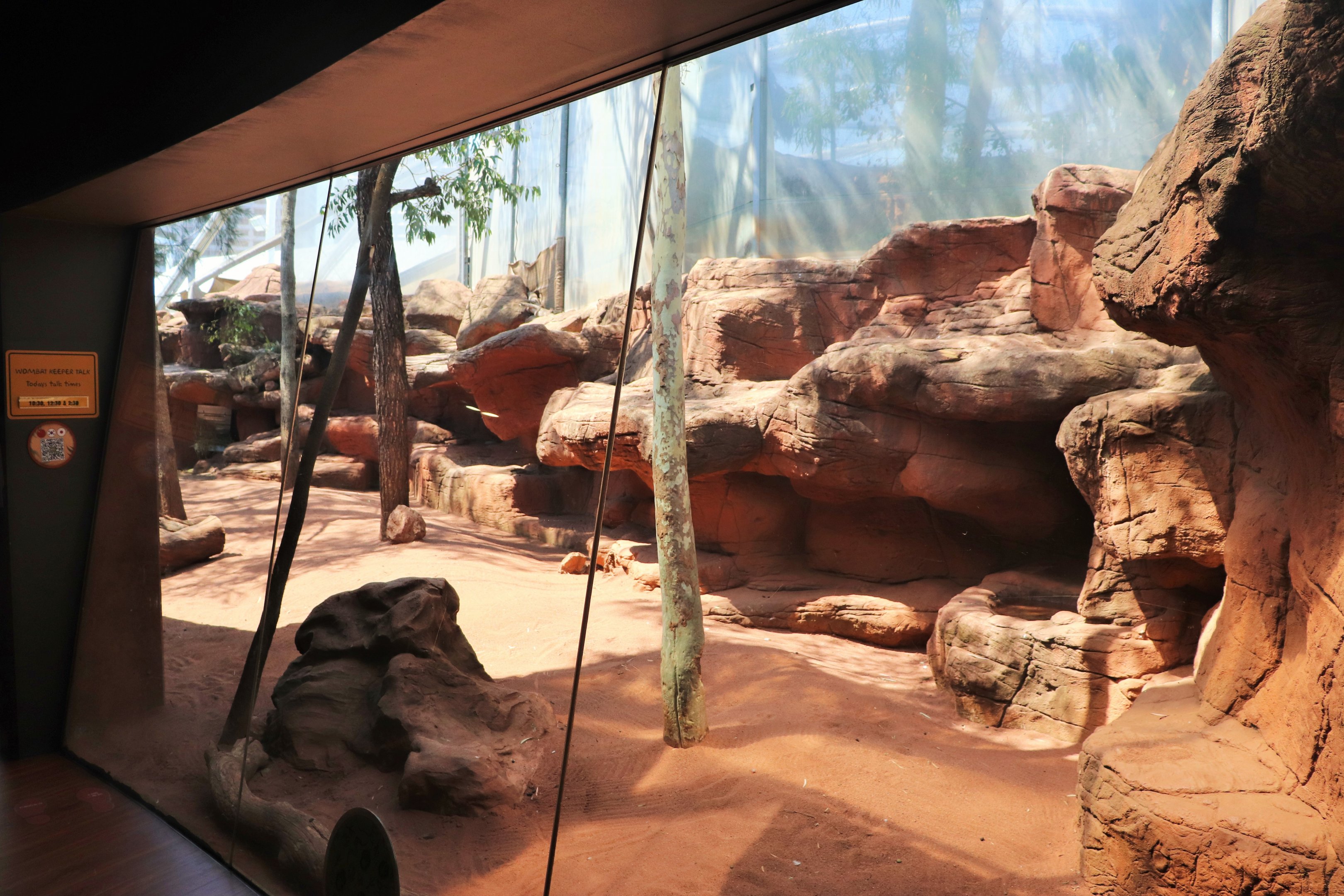 Rock Wallaby/Wombat Enclosure