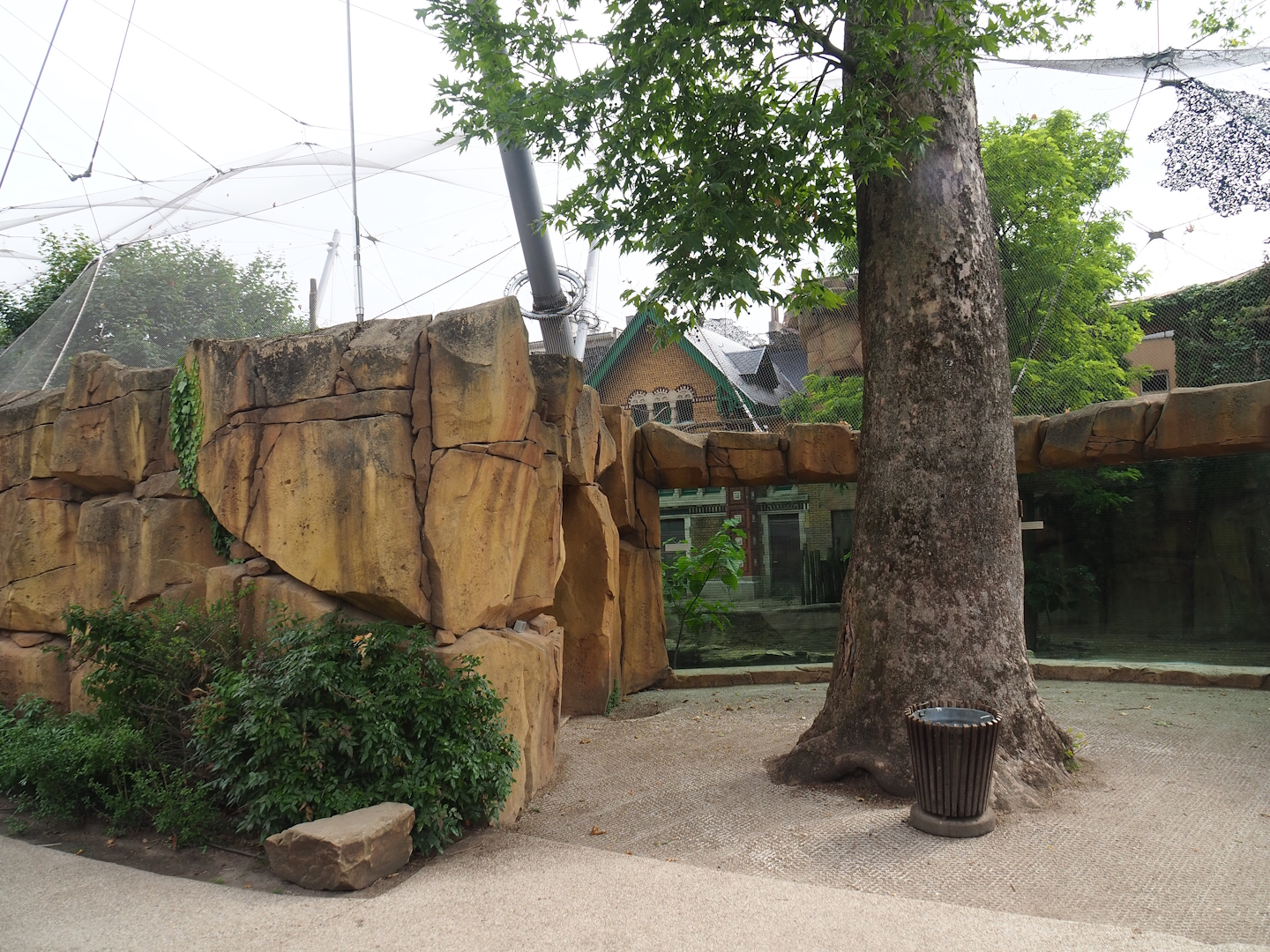 Rock work around exit of Savanna aviary and viewing windows into Savanna aviary, 2023-07-02