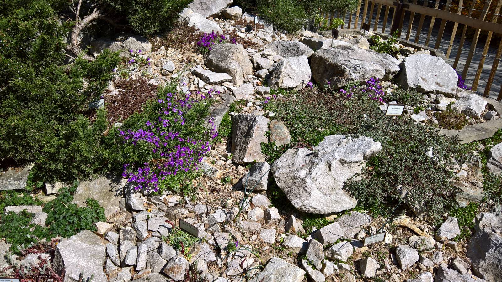 Rockery outside Succulents Greenhouse