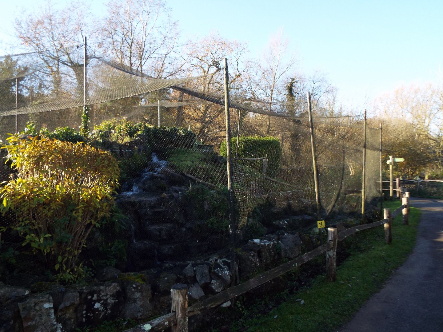 Rockery Scaly-Sided Merganser Exhibit 1, WWT Arundel