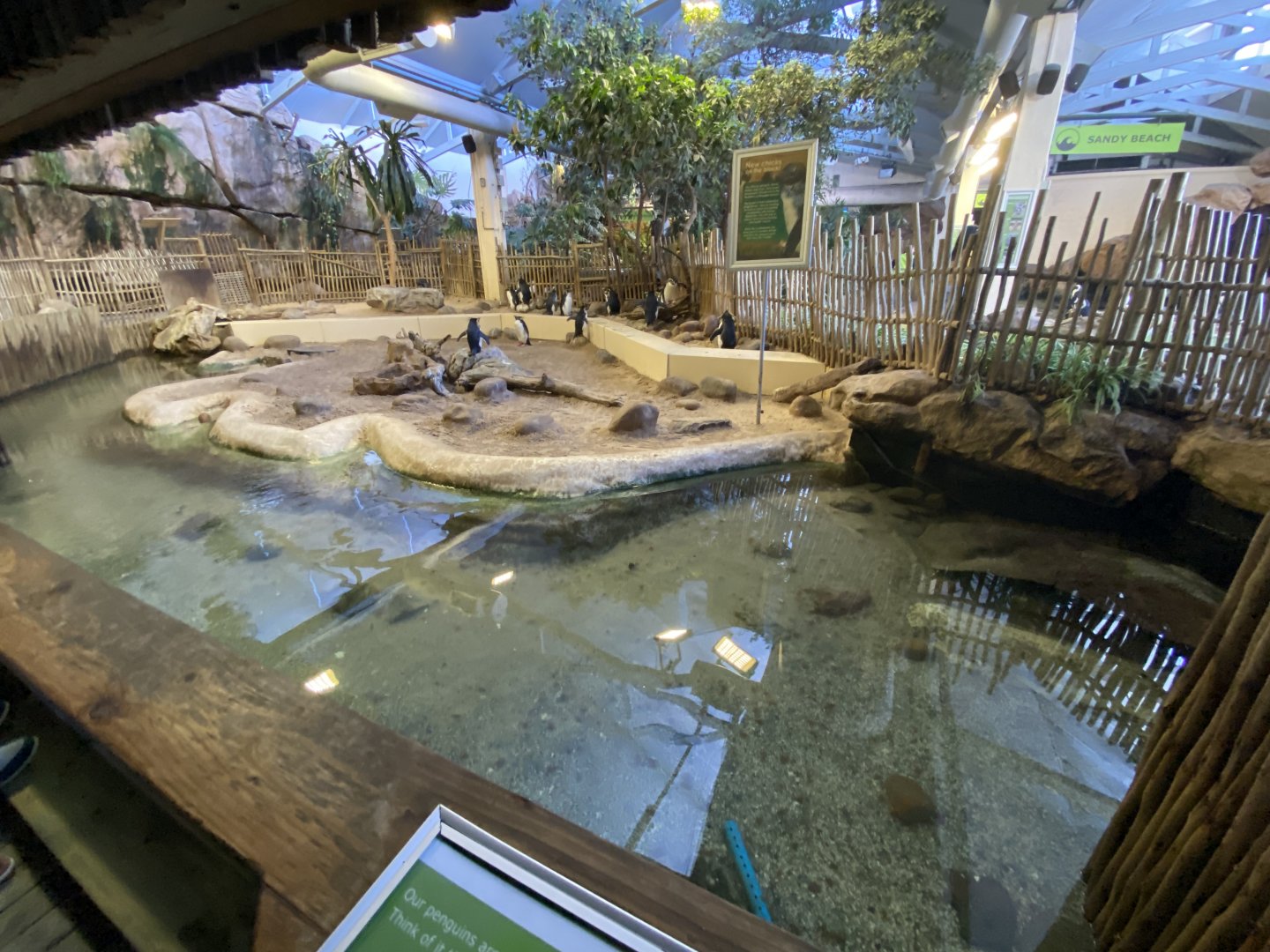 Rockhopper enclosure