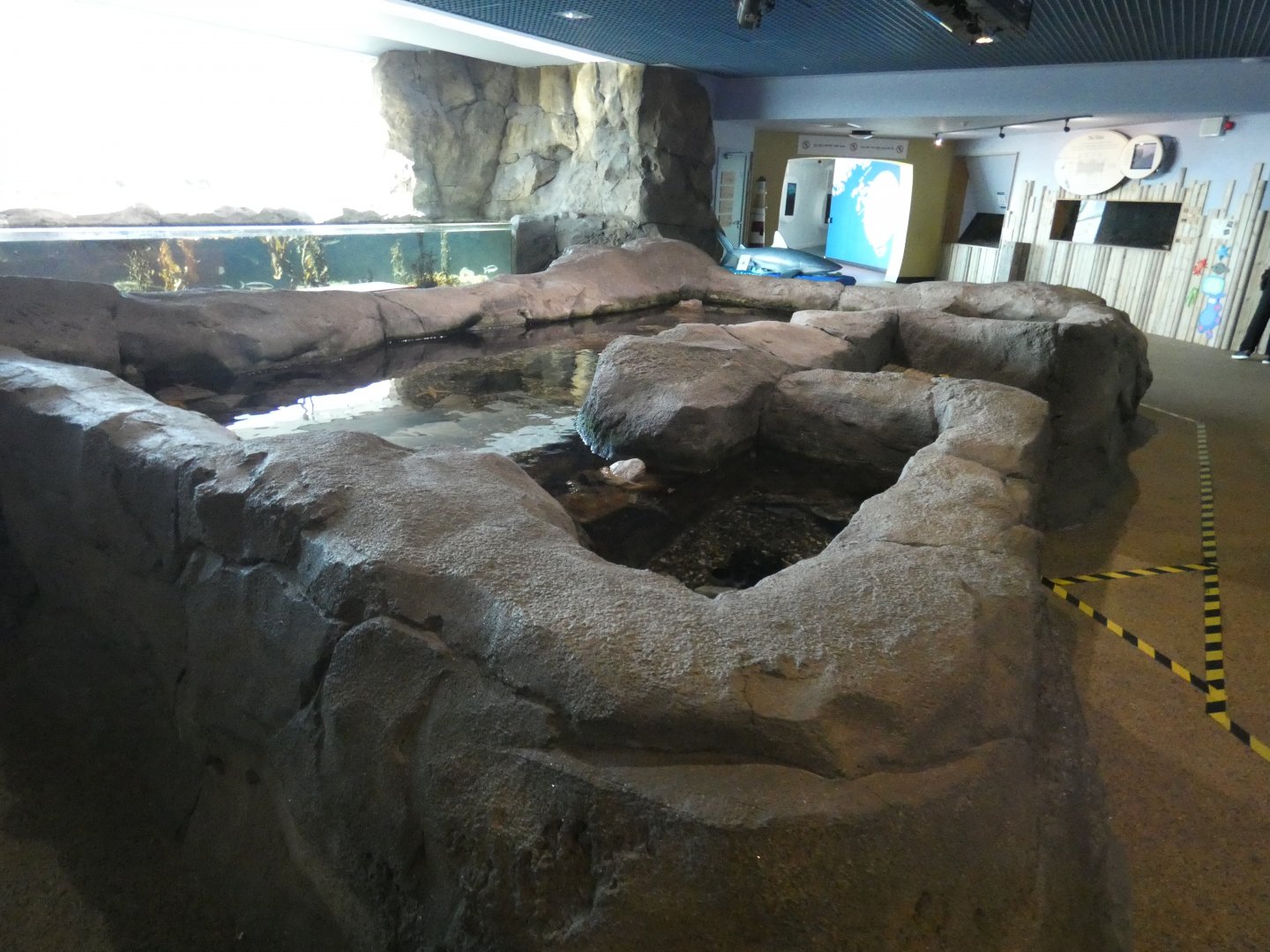 Rockpool exhibit