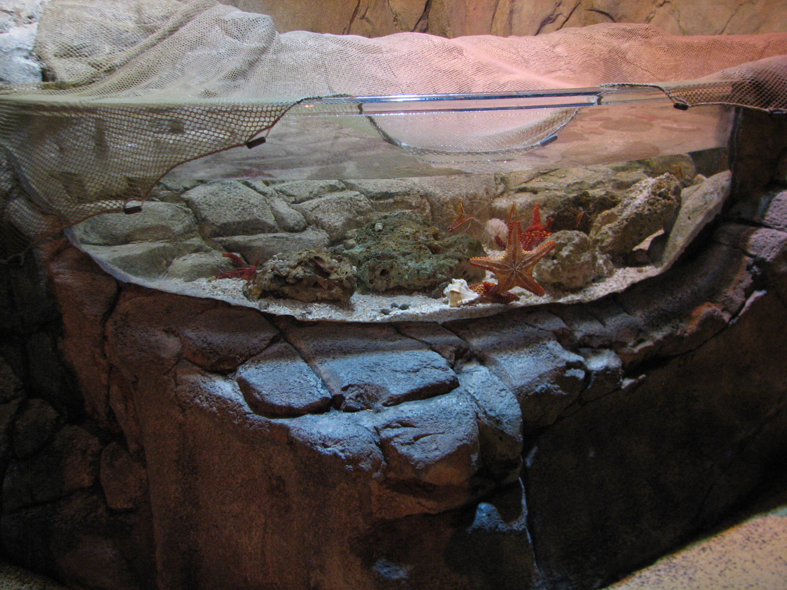 Rockpool - First Touchpool