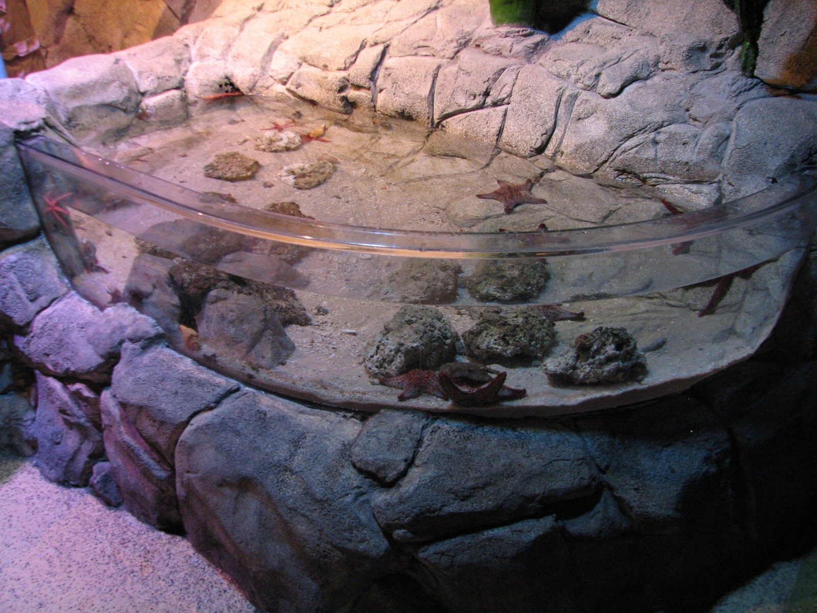 Rockpool - Fourth Touchpool